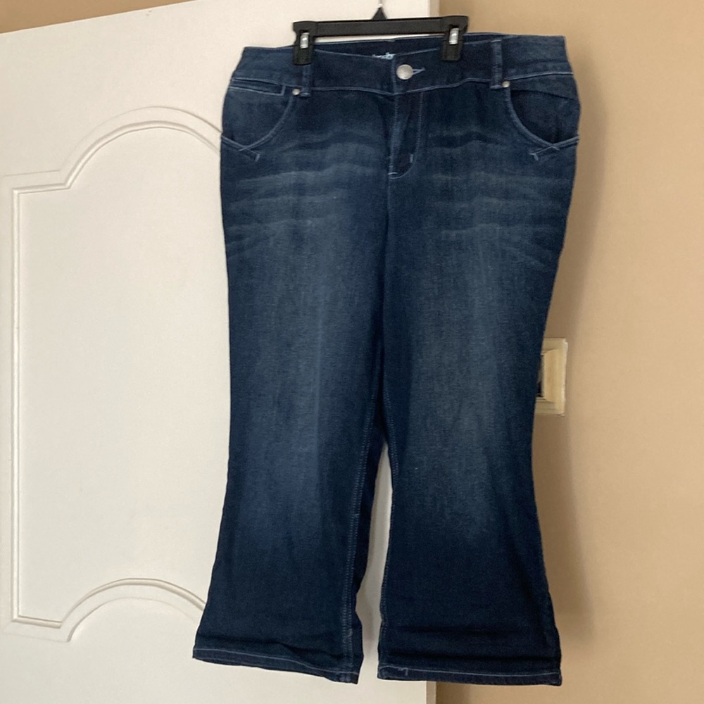 Lane Bryant vintage jeans size 18